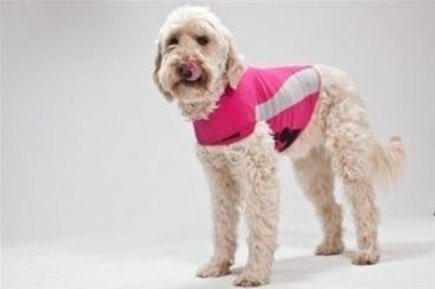 ThunderShirt PSSXXL-T01 Polo Pink Dog Shirt (2X-Large 110+LB)