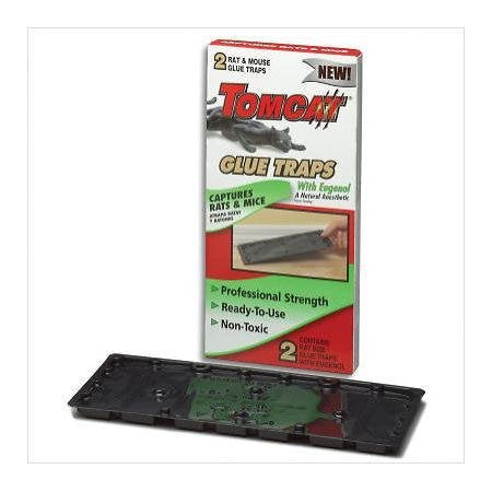 Tomcat Glue Traps rat and mice bait 2 pack (Case of 24)