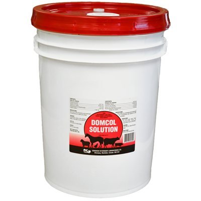 DVL Domcol propylene glycol solution 20L