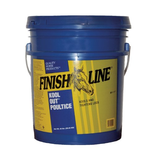 Finish Line Horse Kool Out Clay 45lb