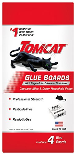 Tomcat 0363110 Multi Pest Glue Board w/Eugenol