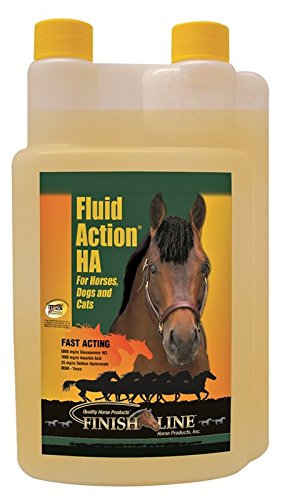 Finish Line Fluid Action Liquid