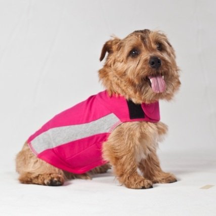 ThunderShirt PSSXXS-T01 Polo Pink Dog Shirt (2X-Small - 7LB)