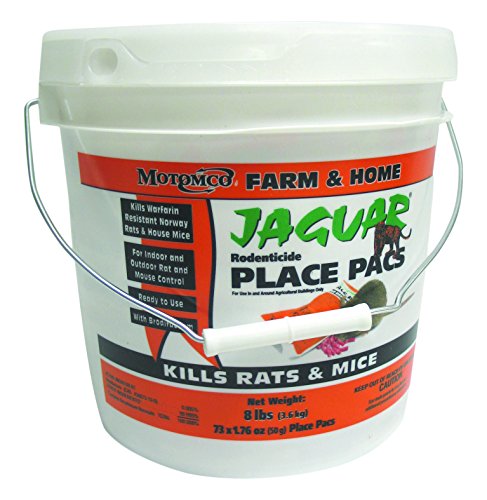 MOTOMCO Jaguar Rodenticide Pail Rat Poison 4kg