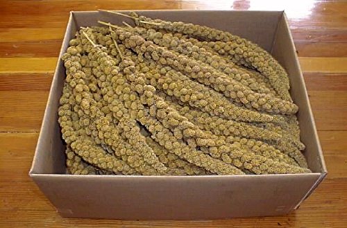 Ralph Moore & Sons SPMILA5-8/10 Spray Millet Bulk 8-10 inch 5 Lb Box