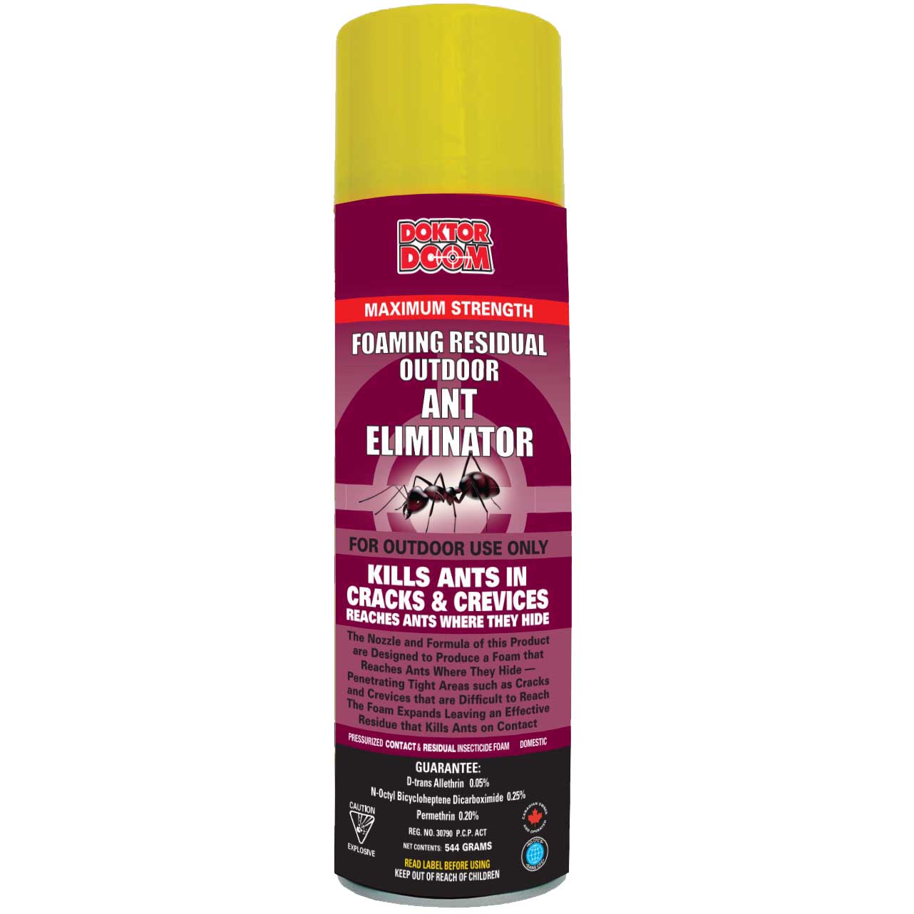 Ant Eliminator Foam